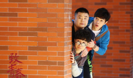 致青春电视剧演员表,青春记忆中的经典面孔齐聚一堂