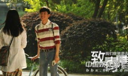 致青春电视剧演员表,青春记忆中的经典面孔齐聚一堂