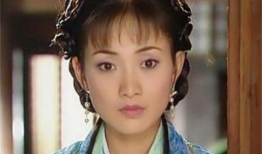 牛莉主演的电视剧大全,笑与泪交织的精彩人生